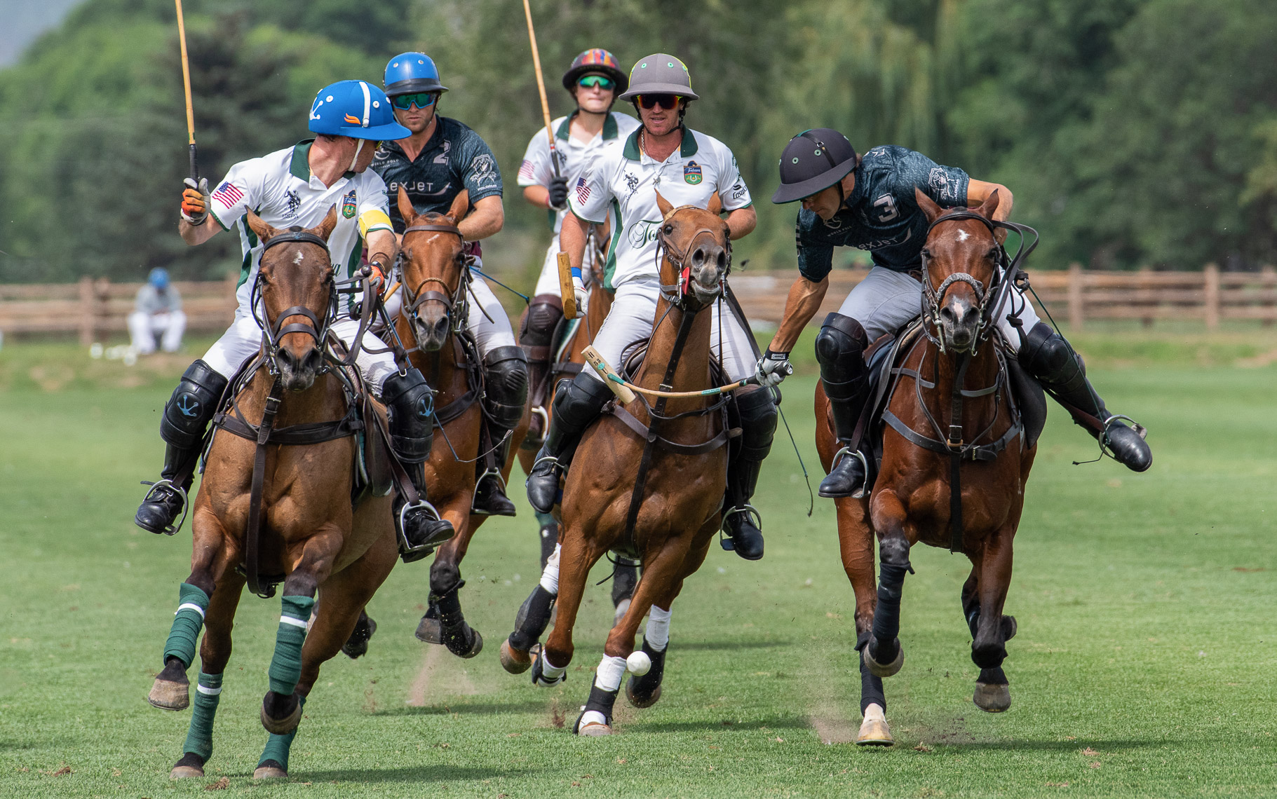 POLO1-56