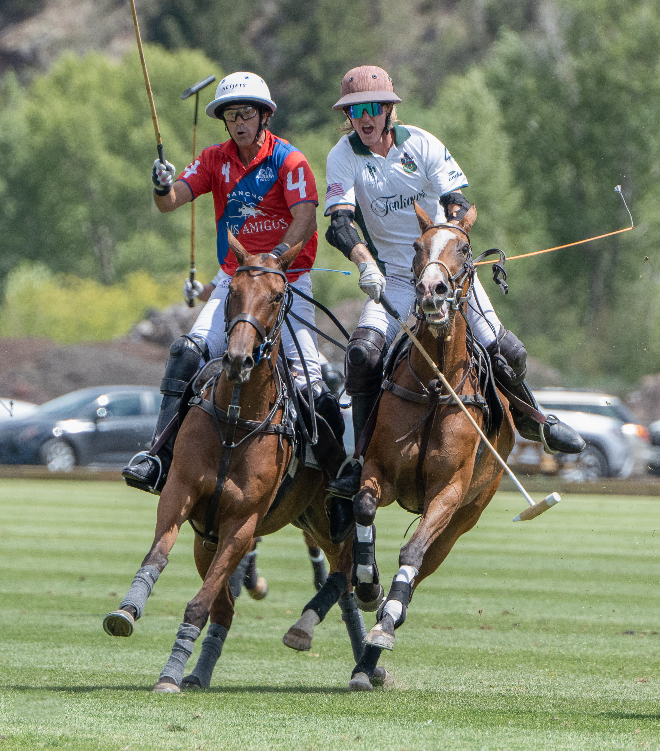 POLO2-10