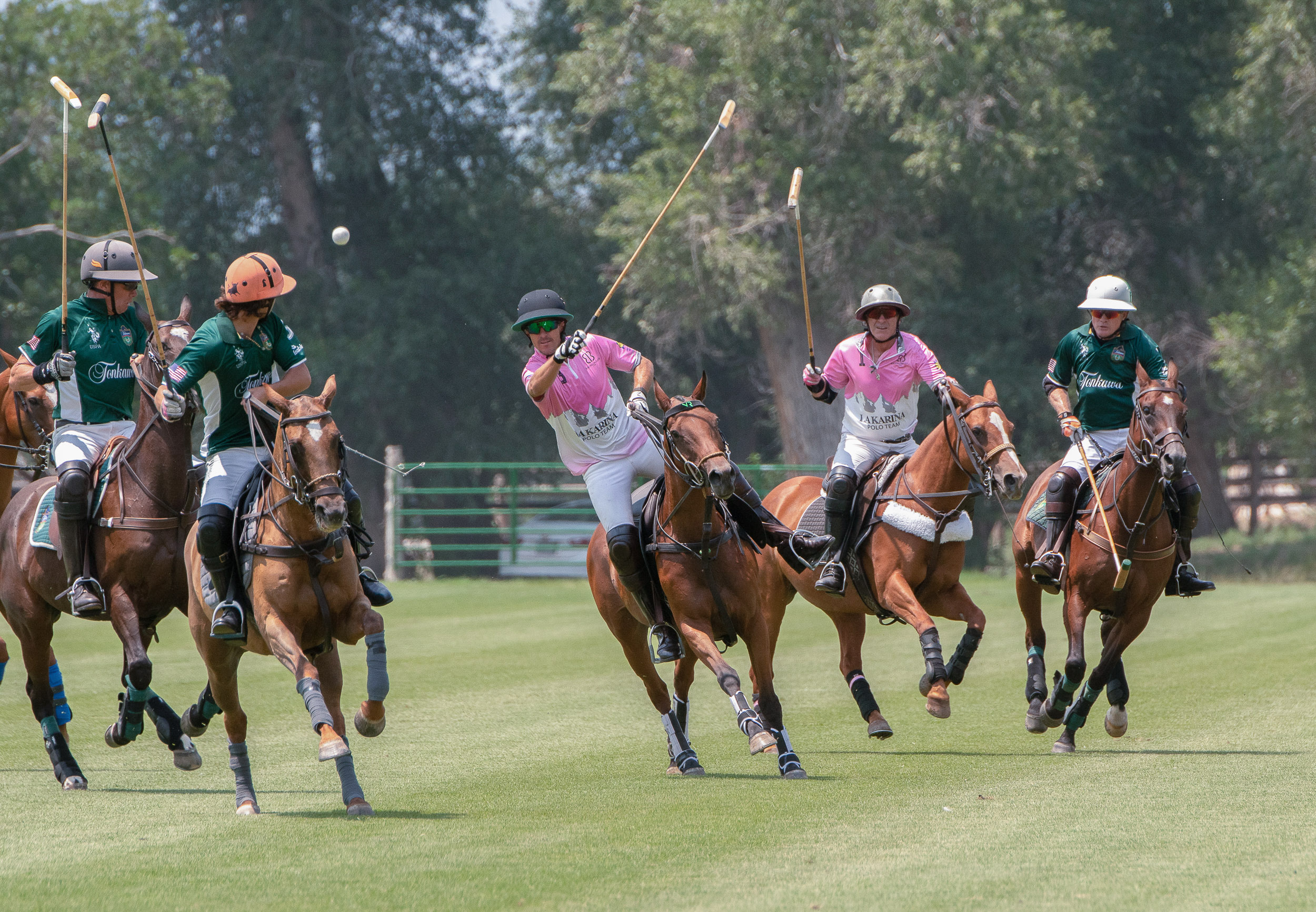 POLO2-65