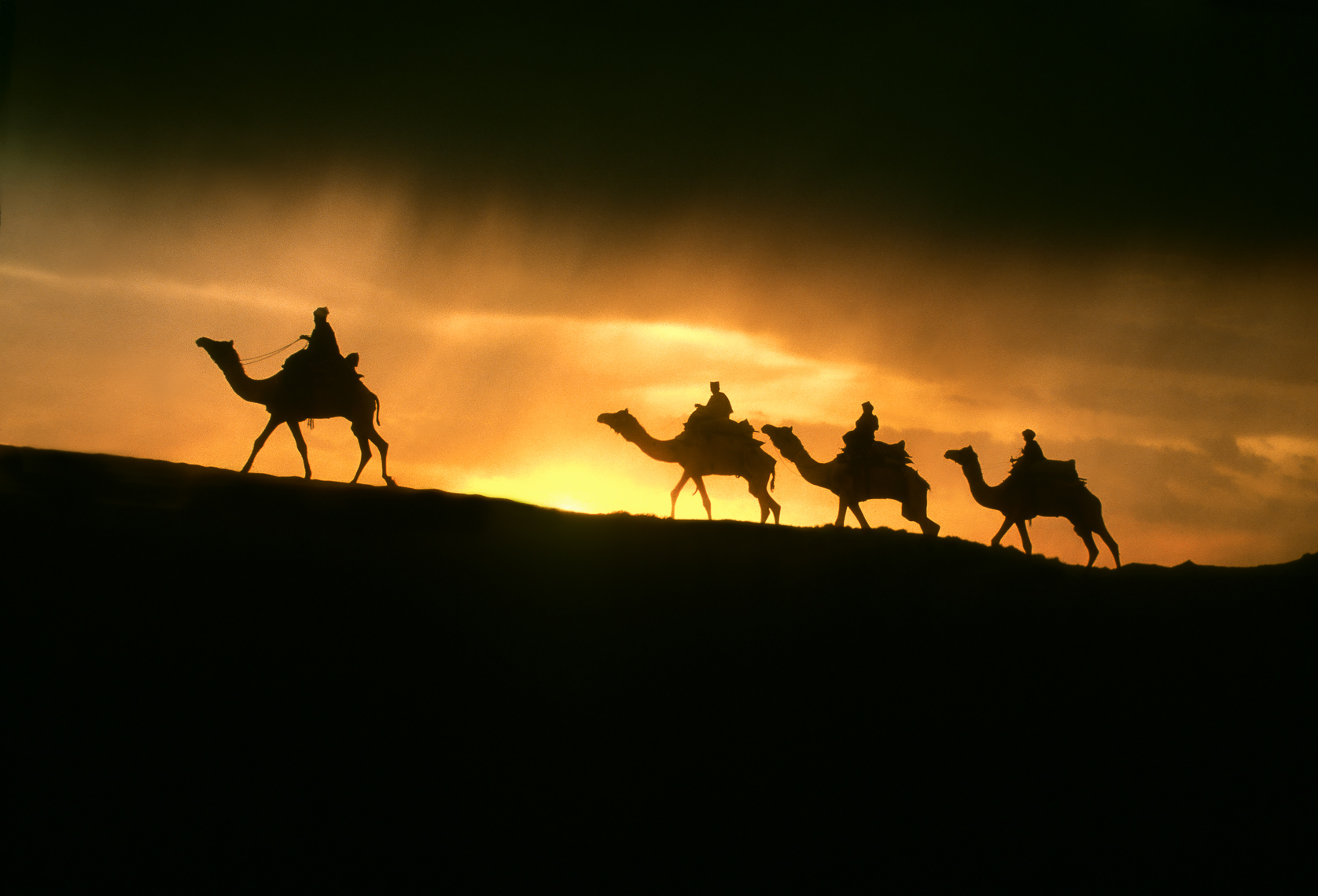   Camel Drivers- Rajasthan, India