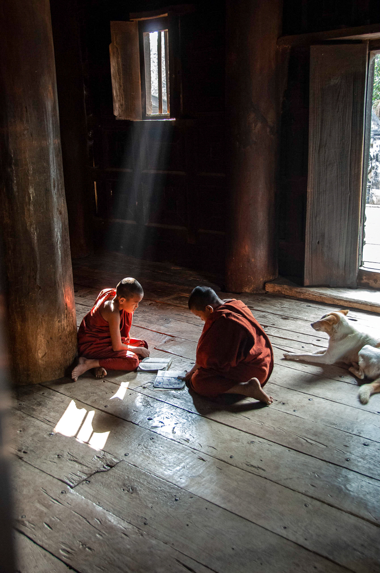 TP_1-91.  Young monks in filtered light.  Myanmar