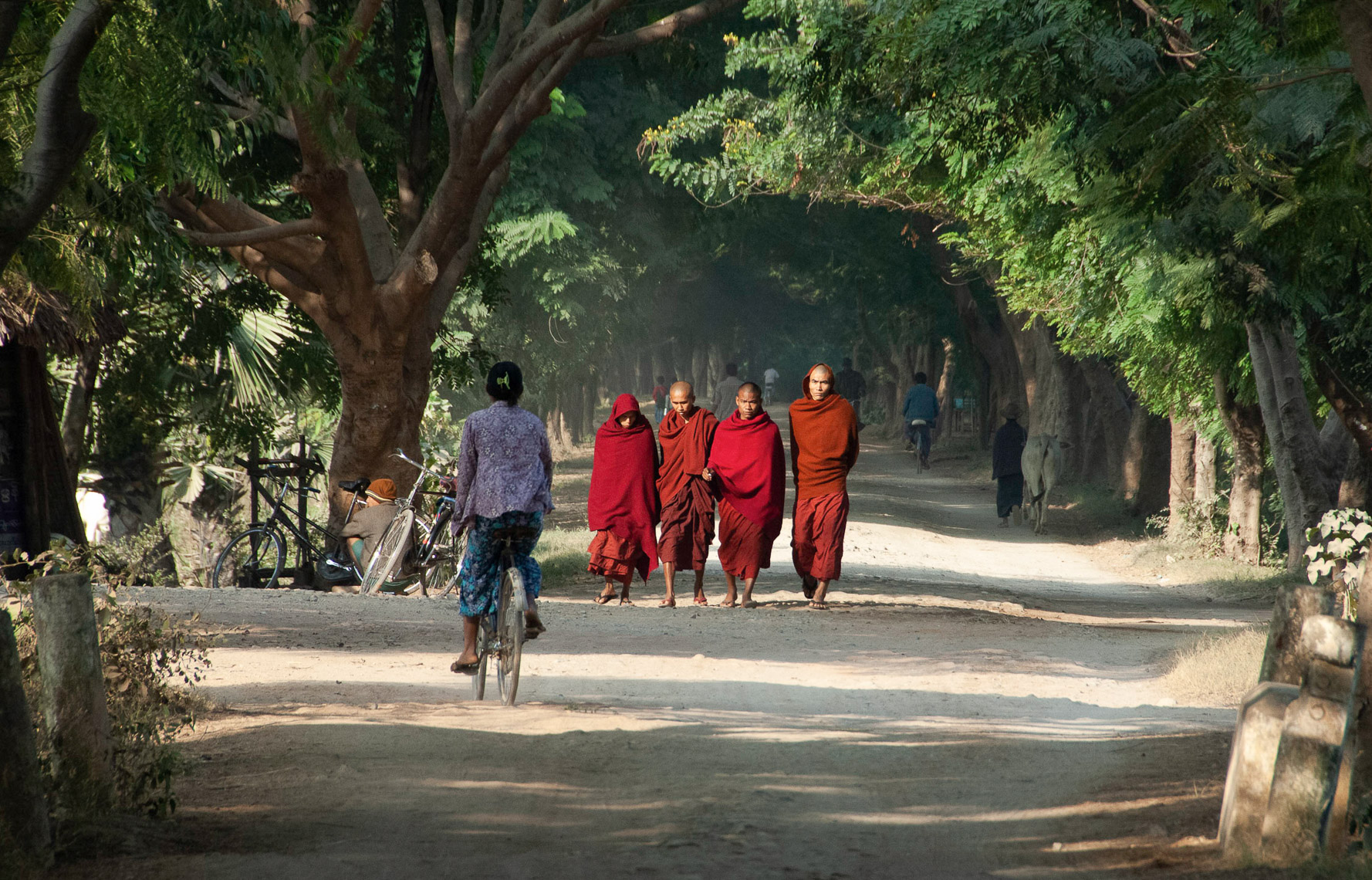 TP_1-92  Monks on a Mission.  Myanmar
